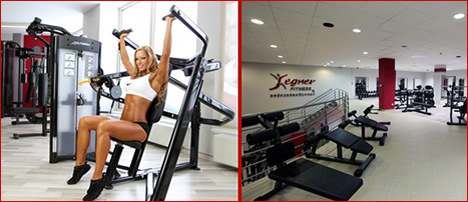 Segner Fitness